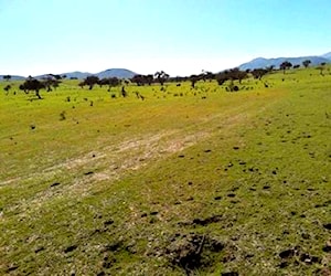 Parcela en La Rinconada de Punitaqui