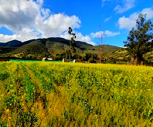 Terreno de 1315 m2 en los Molles de Culipran