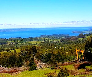 Parcela 5000mt2 en Puyehue, sector El Taique