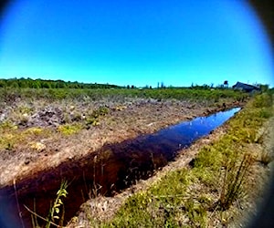 Parcela en Chiloé