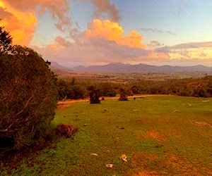 Parcela 5.000mts - Las Cabras