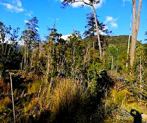 Parcela a orillas de Carretera Austral Puyuhuapi C