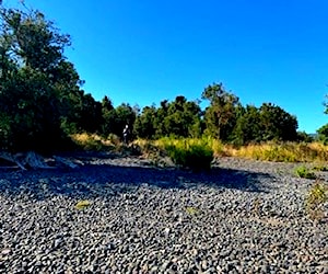 Terrenos en Cunco