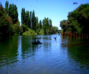 OPORTUNIDAD TERRENO A 20 mts DE RIO ITATA