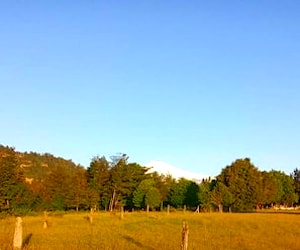 Terreno Villarrica - Sector Challupén