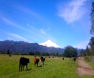 Campo con rio No indigena