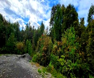 Parcelas El bosque de Puerto Varas