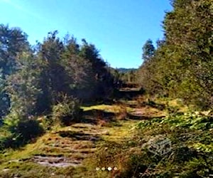 Terrenos vista al volcán posta y colegios árboles