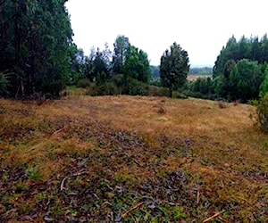 Parcela El Quilar, Ancud, Chiloé. Cerca de Chacao