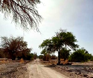 Terreno en la Huayca