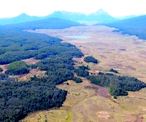 Terreno tierra del fuego pampa guanaco