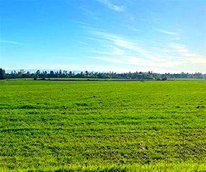 AGRICOLA cruce licura Mulchén