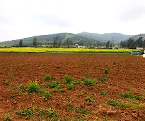 Hermosa y Bien ubicada parcela en Los Laureles Lim