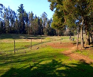 Campo-parcela indigena