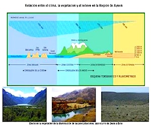 Imagen de galería