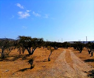 SITIO Estación El Belloto Quilpué