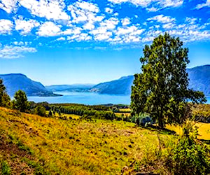 PARCELA Lago Riñihue Valdivia