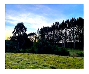 SITIO yuntas viejas - puerto varas - Los La&#8230;