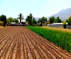 TERRENO CONSTRUCCION Calle Miranda 290 Machalí O