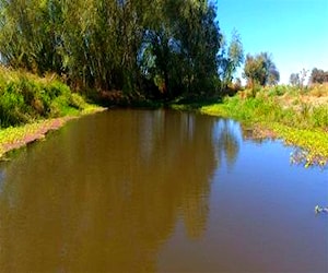 Parcela N8 en Santa Sofia Bulnes Región de Ñub