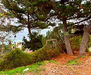 SITIO Subida El Encanto Viña del Mar