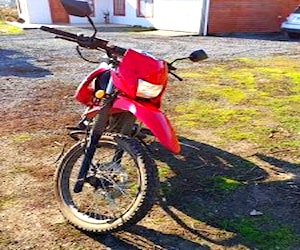 Motorad TTX 250