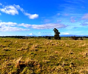 AGRICOLA llanquihue - llanquihue - Los Lago&#8230;