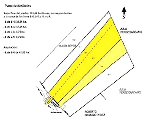 Imagen de galería