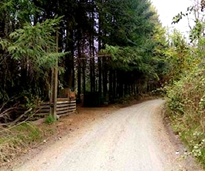 Propiedad a cuadras del centro de pucon