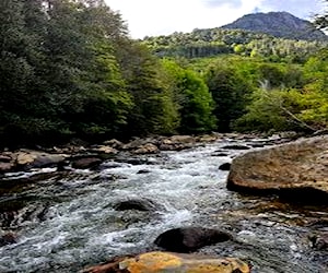 PARCELA tres Horquetas Cunco