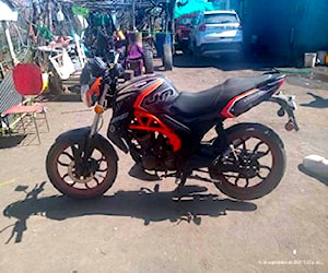 Moto UM 20017