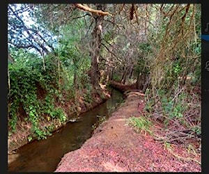 AGRICOLA peaje las maicas Mulchén