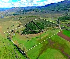  parcela en Lonquimay