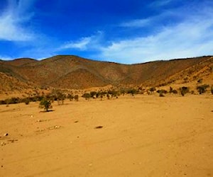 Terreno en La Viña, Cabildo