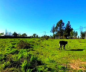 Parcela en corralones