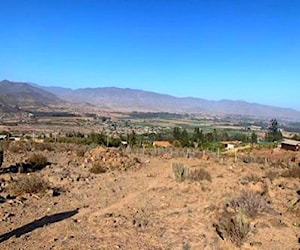 Liquido terreno Las Rojas Valle del Elqui