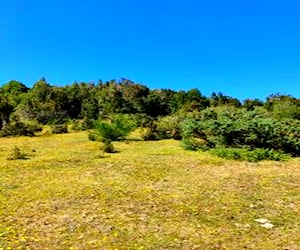 Terreno en Ancud