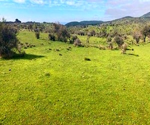 Parcela con cabaña en Curimaqui Cauquenes