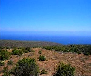 Parcela frente al mar ,plana,vista de 180°al mar