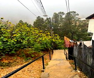 SITIO CERRO BARON CALLE ARIOSTO Valparaíso