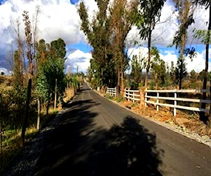 Campo de 2.39 hectáreas en los despachos cauquenes