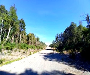 Terreno 5000mtrs en puerto varas