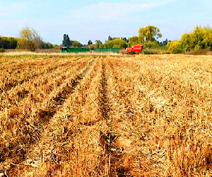 CAMPO TERRENO 22 Ha. EN VENTA. TENO, VII REGIÓN