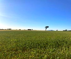 AGRICOLA A Solo 10 kilómetros de Victoria Victor