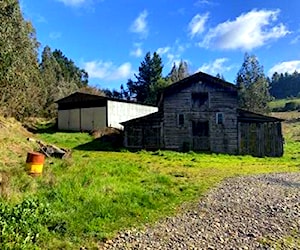 Campo de 19,5 has Comuna de Carahue