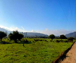 Parcela en Vichuquen Fundo La Quirigua