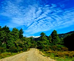 AGRICOLA Terrenos Agrícolas en Aysén Aysén