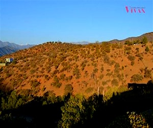 Parcela Jardín Alto Fundo Los Capachos Curacaví