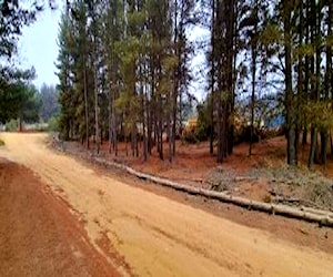 Los Pinos, Reñaca, con agua