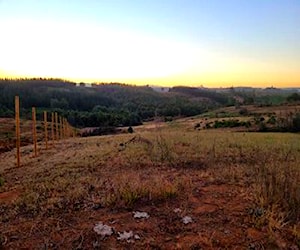  terreno, campo de 1 hectárea y media